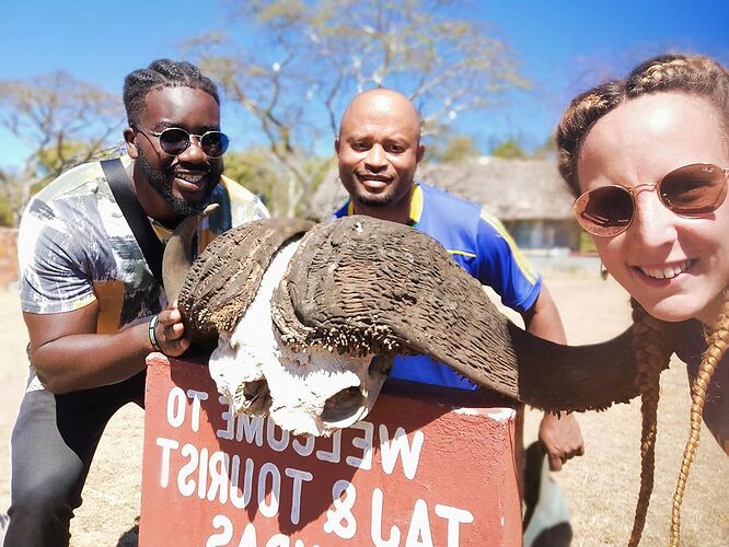 Retour d'un safari fantastique et économique avec une organisation locale en Tanzanie - julie591