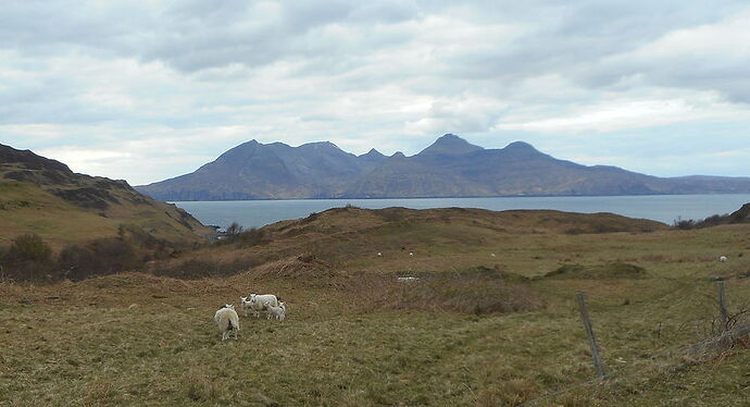 Près du bealach Clith - calamity jane