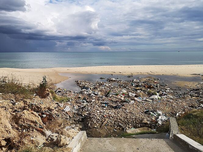 Re: Visiter une médina dans les alentours de Tunis  - Romuald41