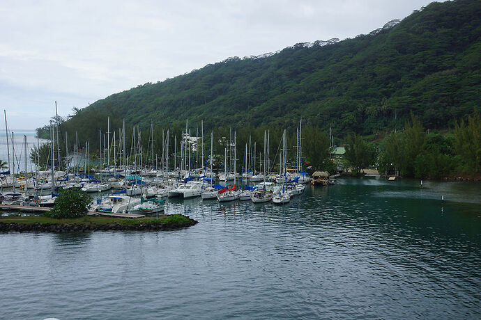 Retour sur découverte de Moorea 1 - cartesien