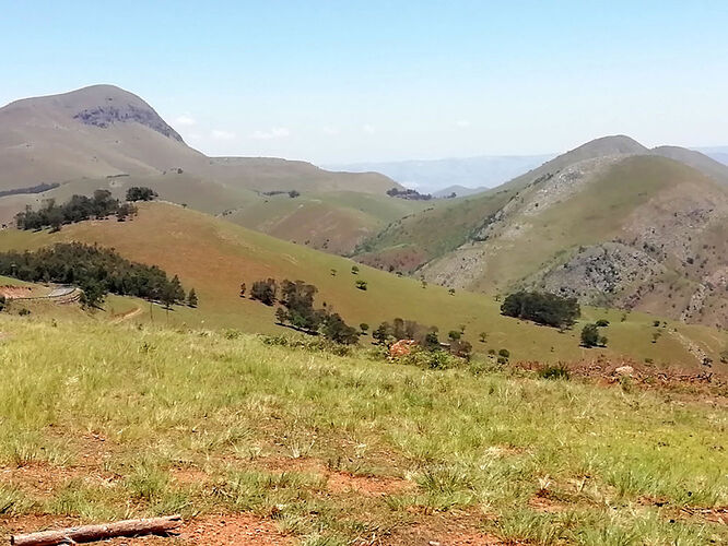 Re: Au paradis ! Compte rendu d'un voyage de 2 petites semaines en Afrique du Sud - L-argonnais Re: Au paradis ! Compte rendu d'un voyage de 2 petites semaines en Afrique du Sud - L-argonnais