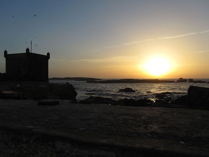 Re: 5 jours à Essaouira, une des perles de l'Atlantique, récit et photos - Tsume10