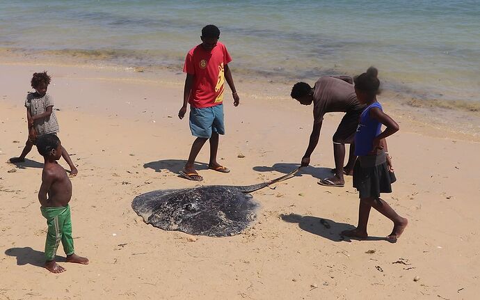 Re: Côte ouest de Tuléar à Morondava - worlder56