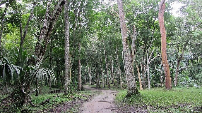 Re: Retour d'une jolie boucle Guatemala-Belize  - PATOUTAILLE