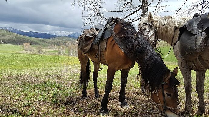 Trek à cheval dans les monts Altaï, Kazakhstan - LauraBS