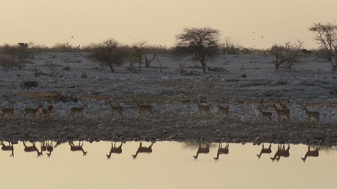 Re: Où dort-on avec son 4x4 en Namibie ? - PATOUTAILLE