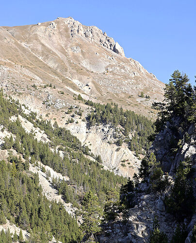 Deux semaines dans le QUEYRAS en Octobre 2021. - puma