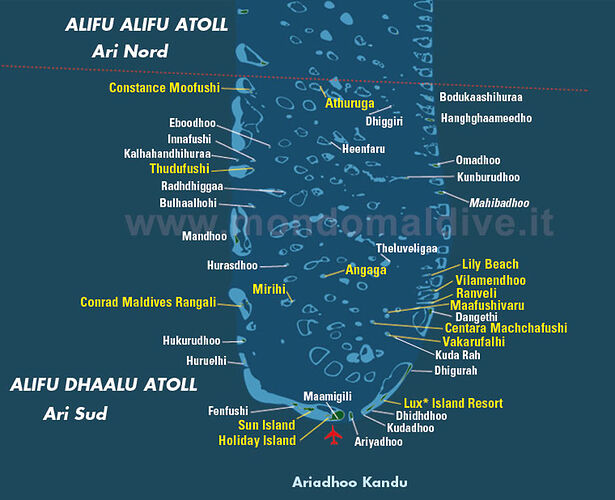 Maldives - Snorkeling fin Février : Haute saison - Philomaldives  Guide  Maldives