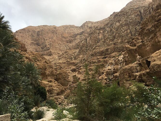 Re: De retour de deux semaines à Oman avec 3 jeunes enfants en camping sauvage - jmayo