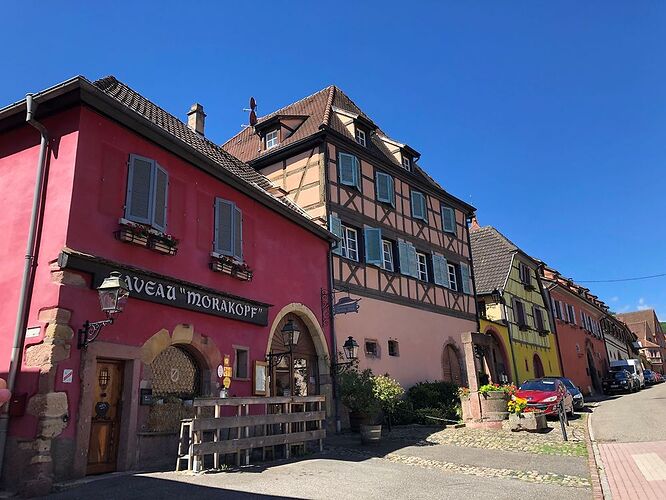 Dix jours en Alsace, des crêtes vosgiennes au vignoble alsacien - krikri&RV