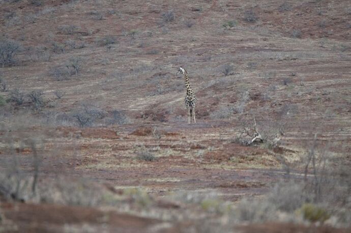 Re: Namibie - 15 jours en octobre 2018 - pascal41lc