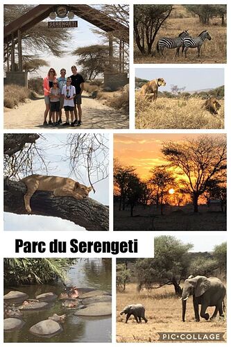 La Tanzanie en famille avec KIBOWHY safaris - Benoit-Cailteux