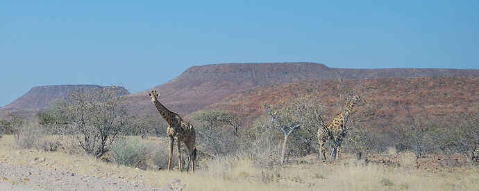 J7 en route pour Brandberg White Lady Lodge - llce