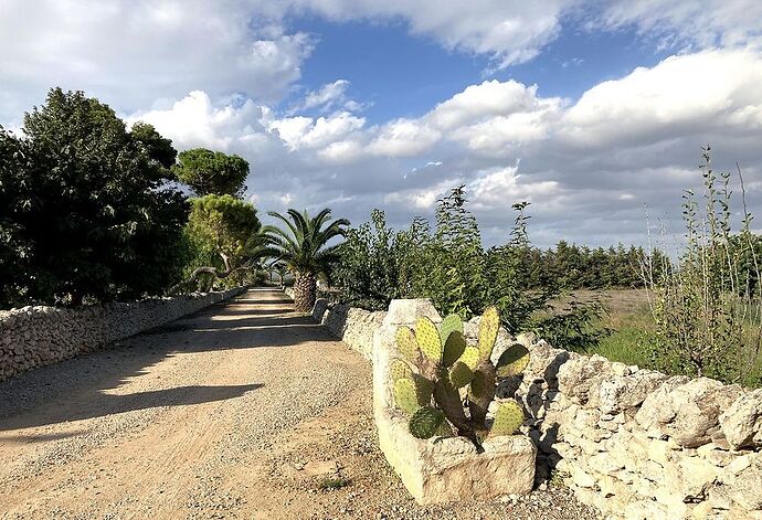 Re: 2 semaines dans les Pouilles : le Salento entre mer et villes ! - Brigitte42