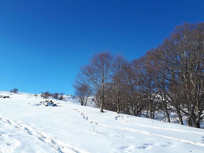 Re: Rando raquettes Massif Central - bernique