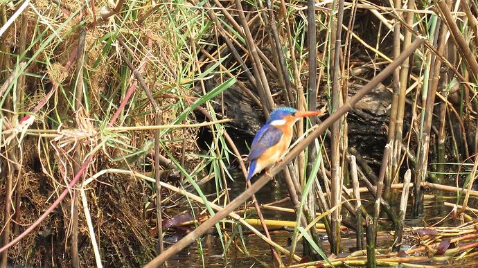 Re: NAMBOTSVIC Namibie- Botswana- Victoria Falls, 3 semaines magiques - PATOUTAILLE