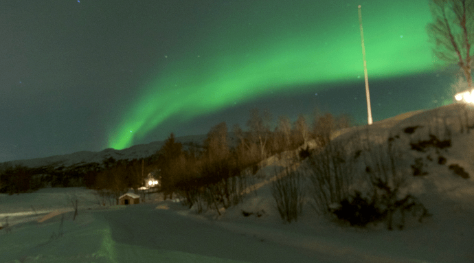 NORVEGE : îles Lofoten et Senja en hiver - vanessavoyage