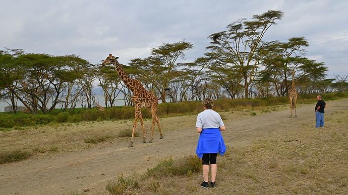 Re: Au coeur du Kenya ; le Kenya dans le coeur - Jmarc71