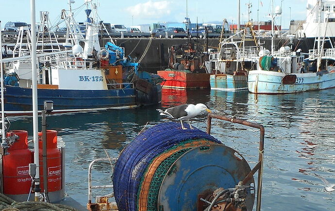 A Mallaig - calamity jane