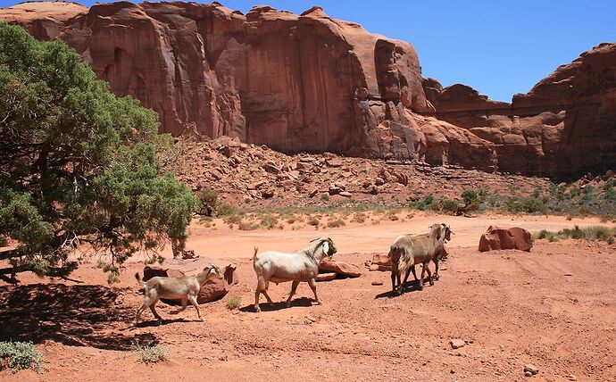 Monument Valley  - Hiacinthe