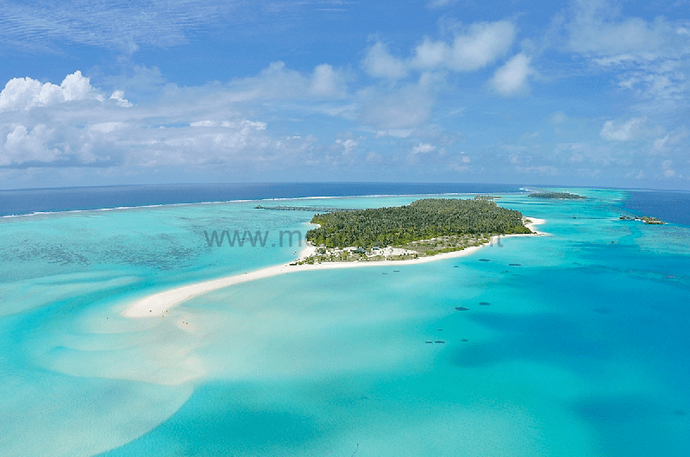 Sun Island resort aux Maldives - snorkeling - Philomaldives Ex guide Safaris