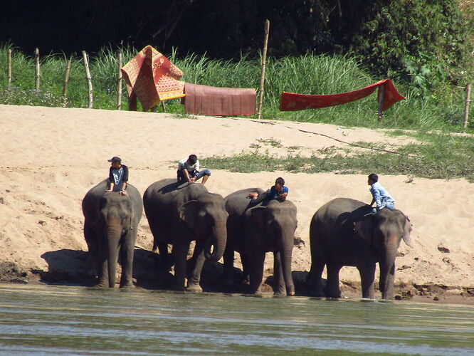 Du Sud au Nord, les milles couleurs du Laos - N-Gwen