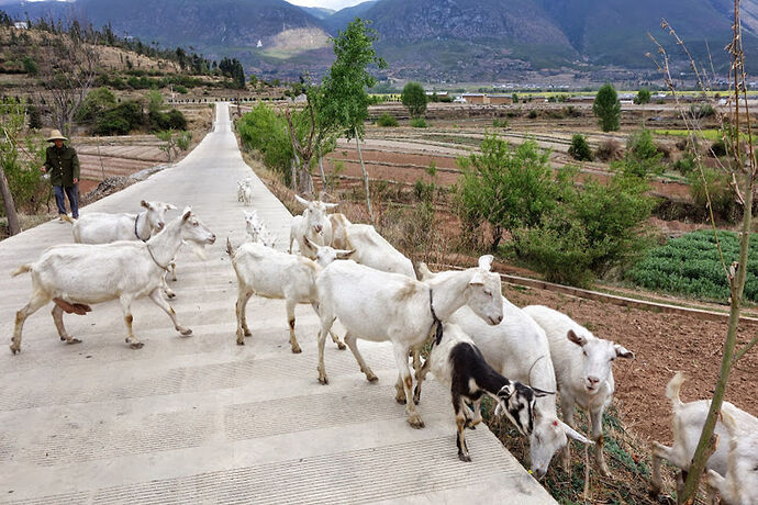 SHAXI balade en vélo dans les villages ethniques - passionnasie SHAXI balade en vélo dans les villages ethniques - passionnasie