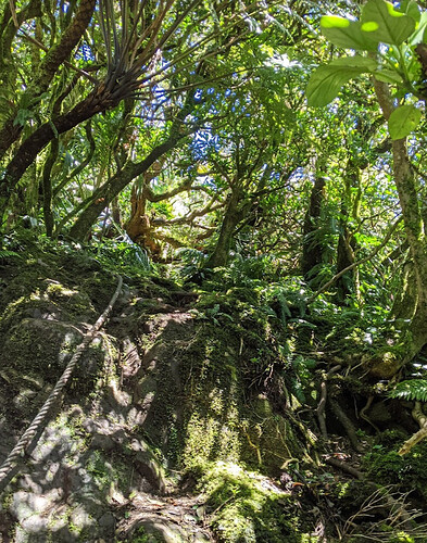 Randonnées et détente au plus près de la nature: 5 jours sur Lord Howe Island - exploringpaw