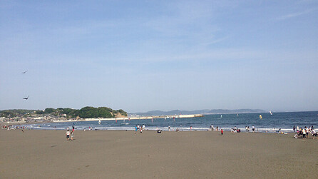 Beach cropped