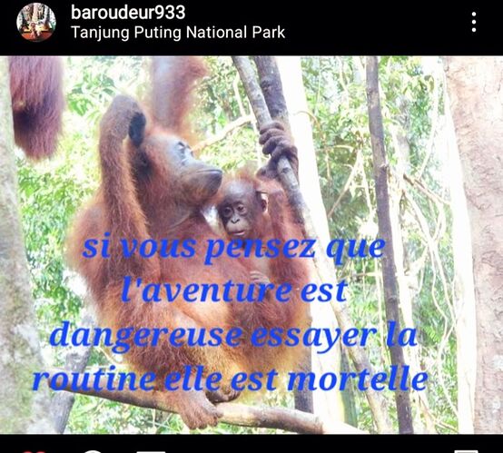 Re: Instagram baroudeur933 - baroudeur93