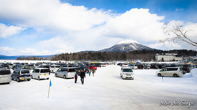 Hokkaido en hiver - Neko no Sanpo