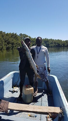 Re: Recherche campement de pêche - Sénégal - Bienvenu