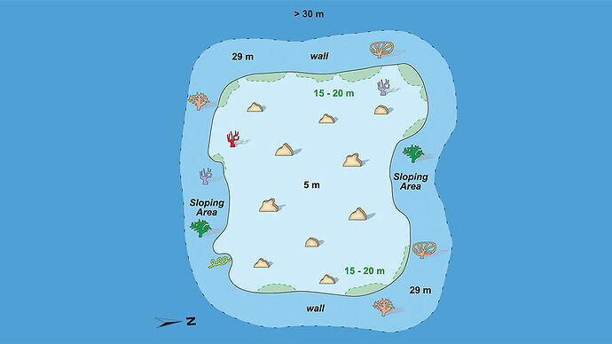 Maldives - Tortues en Snorkeling - Philomaldives  Guide  Maldives