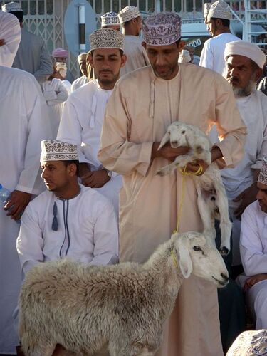 Itinéraire de 2 semaines au Sultanat d'Oman en hôtel et camping sauvage : magnifique - titimathi