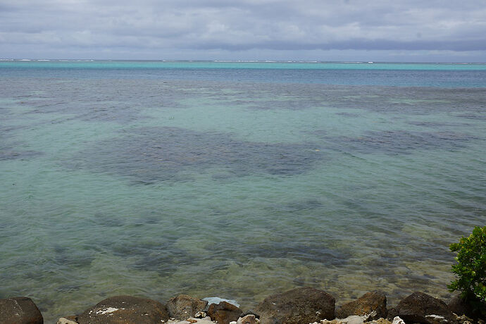 Retour sur découverte de Moorea 1 - cartesien