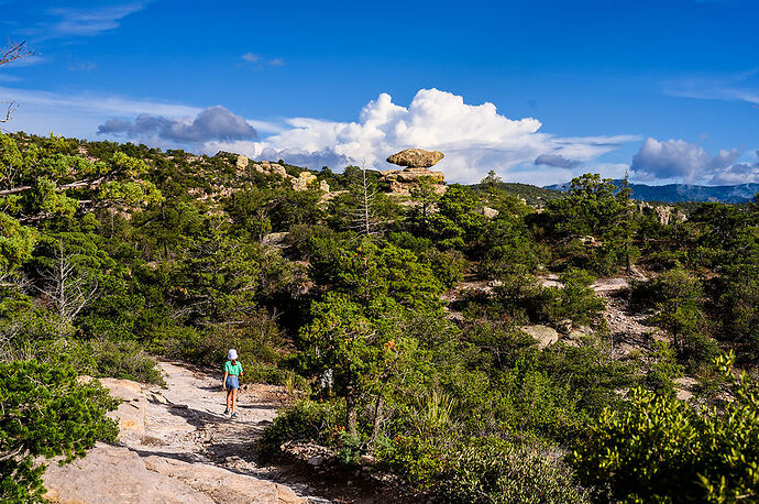 Vendredi 29 Juillet : Chiricahua National Monument - darth
