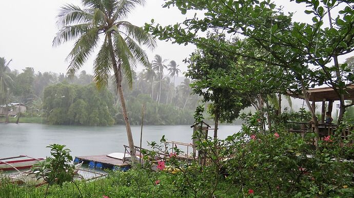 Re: Des Visayas à Palawan, retour de 3 semaines magnifiques! - PATOUTAILLE
