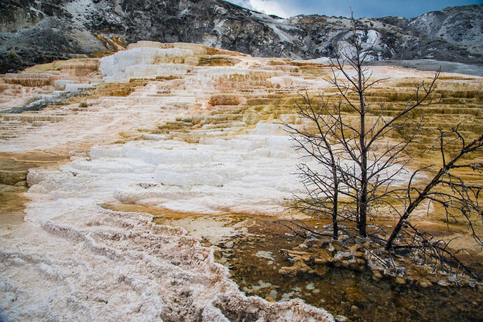 Samedi 29 Juillet – Tower Roosevelt – Mammoth Hot Springs - darth