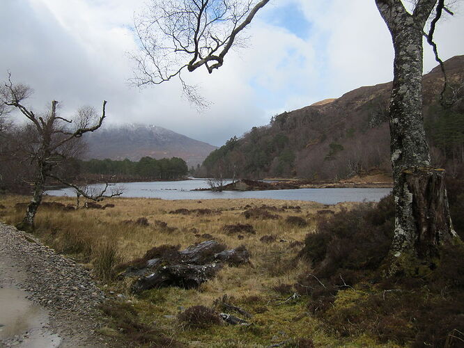 Entre glen Carron et glen Torridon - calamity jane
