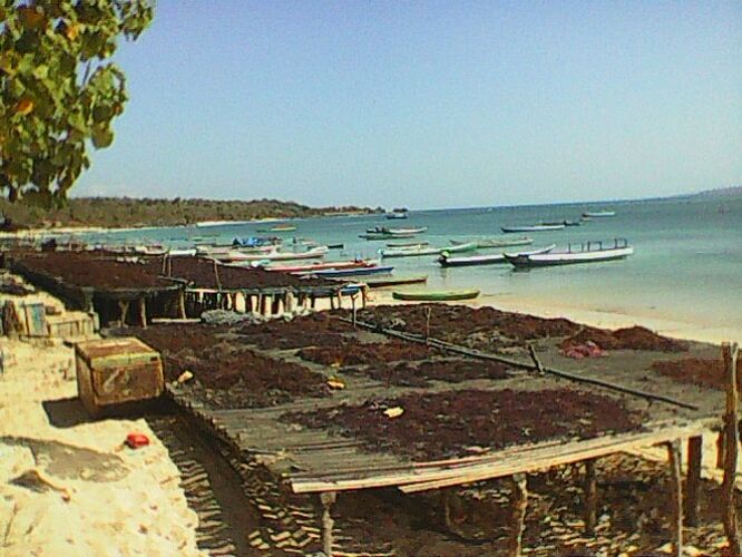 Rote et Timor - rambler13 Rote et Timor - rambler13