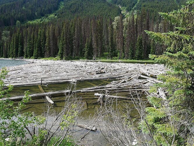 L'Ouest canadien à pleins poumons: épisode 2, l'Okanagan et la route vers la côté, via Whistler - fabienne65