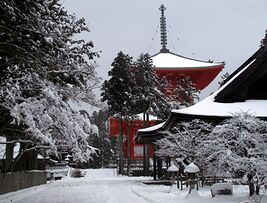 Re: Découvrir le Japon par Tokyo et Kyoto en janvier - marie_31