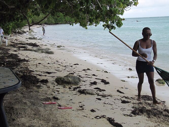 séjour en Guadeloupe - alinesandra