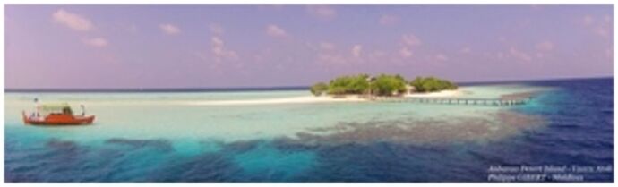 VASHUGIRI & Ambara - Philomaldives  Guide  Maldives
