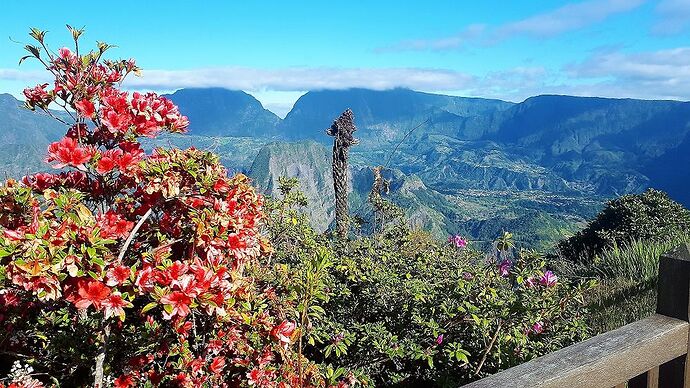 L'île INTENSE : Trek a l'île de la Réunion - Caro-Rando L'île INTENSE : Trek a l'île de la Réunion - Caro-Rando