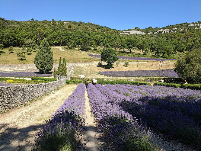 Re: Carnet de voyage, deux semaines en Provence - Fecampois