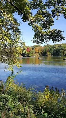 Re: L'automne à Central Park - New-York - Clemarie24