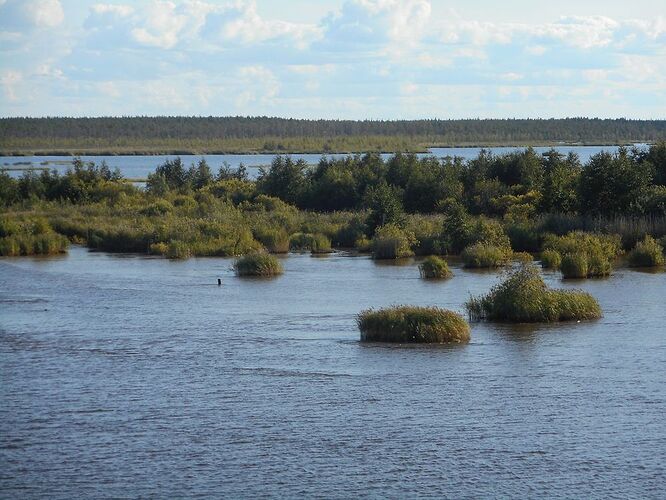 Avis sur la croisière Moscou-St Petersbourg - Babouchka57