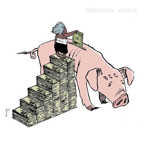 bcc cochino