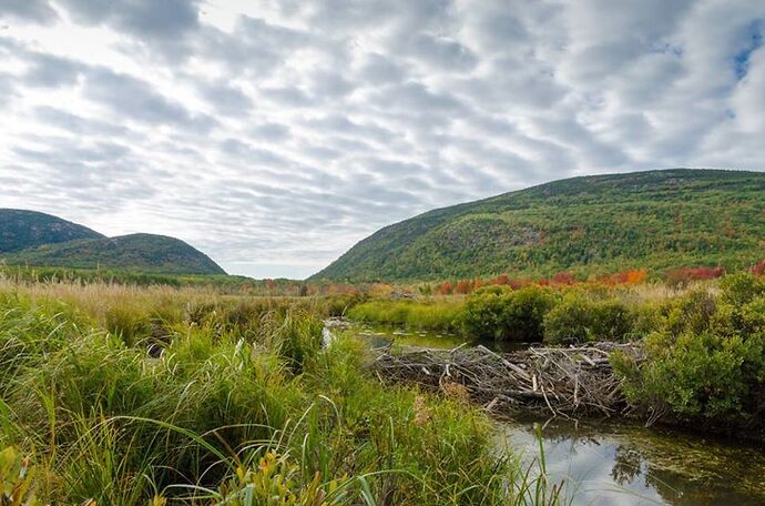 3 JOURS DANS LE MAINE À LA DÉCOUVERTE DE BAR HARBOR ET DU PARC ACADIA - anaisgaujat